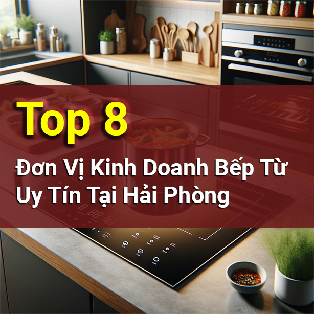 Top 8 Đơn Vị Kinh Doanh Bếp Từ Uy Tín Tại Hải Phòng
